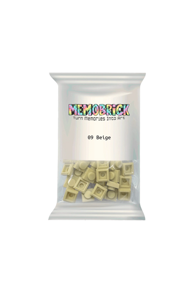 Bag of Bricks-Beige 09