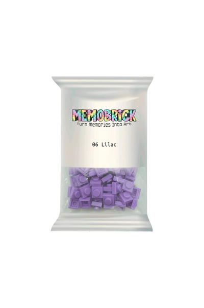 Bag of Bricks-Lilac 06
